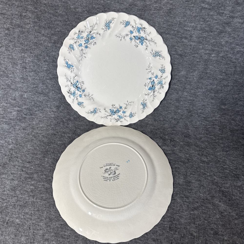 VINTAGE 2 Dinner Plates Myott Staffordshire Forget Me Not 10" Made in England